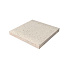 Schellevis Tegel 50x50x5 cm Creme